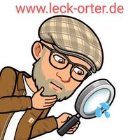 der Detektor